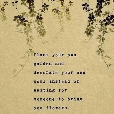 KHUTSO_MPANENG's profile picture. 325 addict...music lover...Art magnet...calm and collected, Oh and I also sell plants for a living 😊🌿 business account @ishlahla03 🌱
