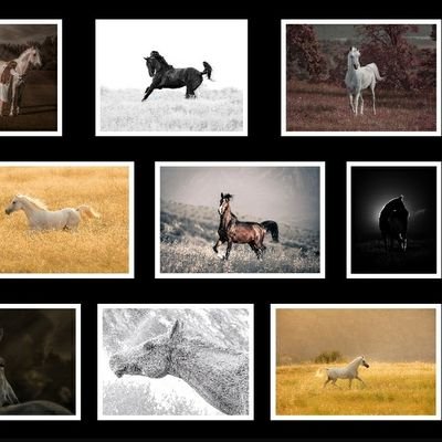 volaregalleryde's profile picture. Everything about NTF in Arabic
كل شيء حول الصكوك غير القابلة للاستبدال باللغة العربية
#NFT #ArNFT