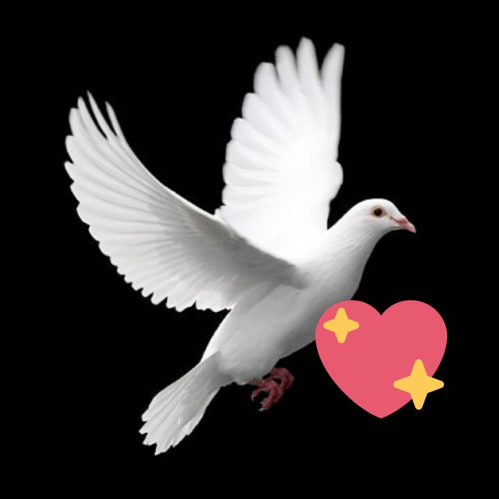God lover, Mother, dog and cat lover, peace lover ☮️ #stophate, be the change you want to see in the world, #LoveRevolution, Yes MAGA