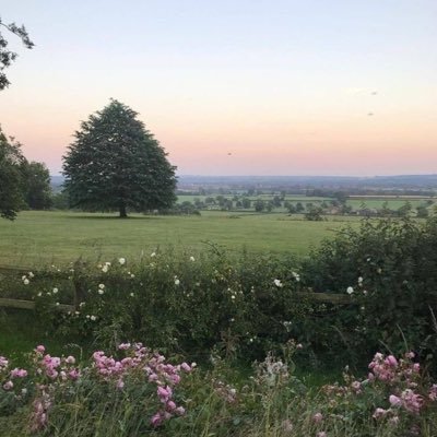 Blueberrypiechs's profile picture. crypto newbie, food, beach, movie, music,open mind 💵🍈🌊trying hardly to be optimistic & productive every day .