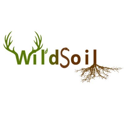 Rewilding as a tool for soil carbon capture and greenhouse gas mitigation https://t.co/eIbdPnVZPj 
Supported by DFF Green Transition 2021 https://t.co/LEi2nGIiru