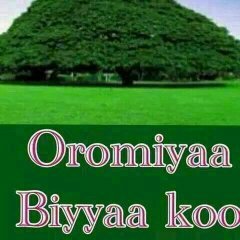 LDS65017998's profile picture. stands for justice is not crime