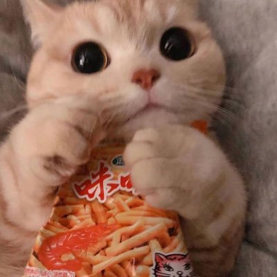 しゃんぷ🐼さんのプロフィール画像