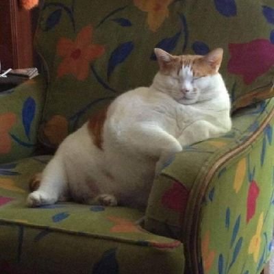 KorrayU's profile picture. Hola 😏