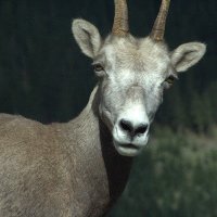 Derek Kellum (@derekellum) 's Twitter Profile
