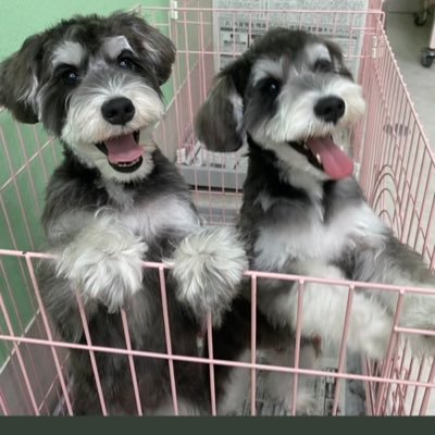 Amyhonesty1's profile picture. 