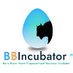 Boris Bison Youth Empowerment Business Incubator (@BBisonIncubator) Twitter profile photo