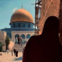 🇵🇸 𓂆 Manar_shallah (@shallahmanar) 's Twitter Profile Photo