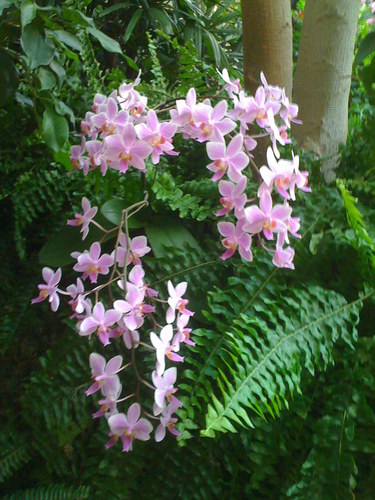 sharoneberlin's profile picture. Love my horses, Daisy and Bart