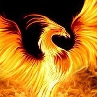 Anka_analiz (@anka_analiz) Twitter profile photo