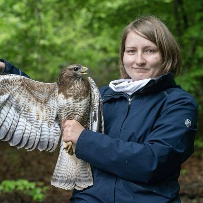 Doctoral candidate / Biologist / Nature conservation / ornithology
Based at the university in Marburg