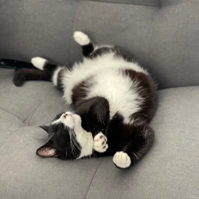 breadesign's profile picture. Taxcheatin-nurseclappin-lietellin-bloviatin’-paycuttin-shitdumpin-twojobbin’ donorfakin-everfibbin-poorhatin’… Tories