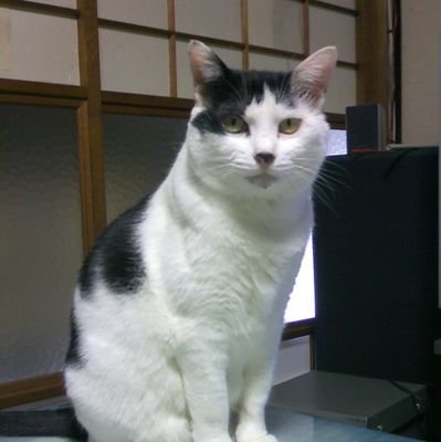 2pYqv25If3j1dUU's profile picture. ❨1推し❩登山系山ガ−ルと近藤国際山岳ガイド❨２推し❩大谷ファミリーとデコピンです。青梅市多摩川釜の淵公園が散歩仲間の遊び場です。
無言フォローします事
ご容赦願います。😁