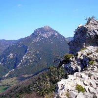 Francesc Perarnau (@fperarnau) 's Twitter Profile