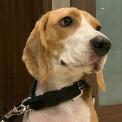 Sidlyf's profile picture. a simple guy to spread love,happiness and some laughs😉