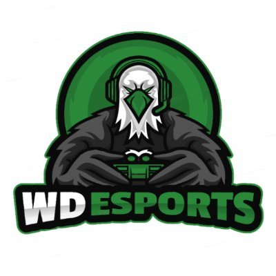 WDHS Esports Team