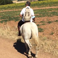 Jaime CompanyG (@jaimecompany1) 's Twitter Profile Photo