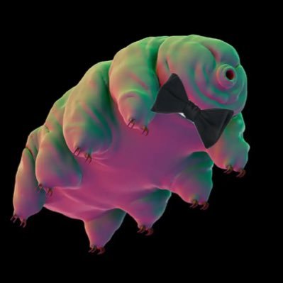 BowTiedTardigra's profile picture. i have no idea what i'm doing