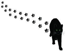 Have you lost your pet? Or found one in the Thousand Islands area please send me a message with description of your pet.  Will tweet and followers will retweet.