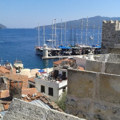 eulermidersin's profile picture. https://t.co/UYX1OOrEVS…