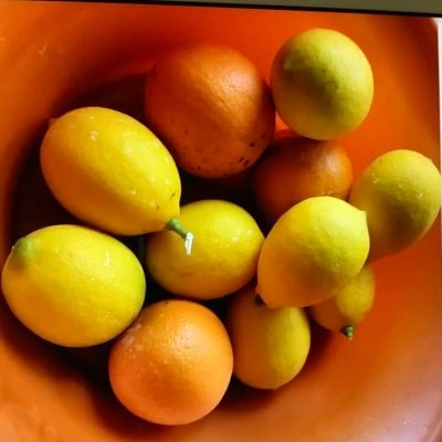 McgradyRanda's profile picture. 