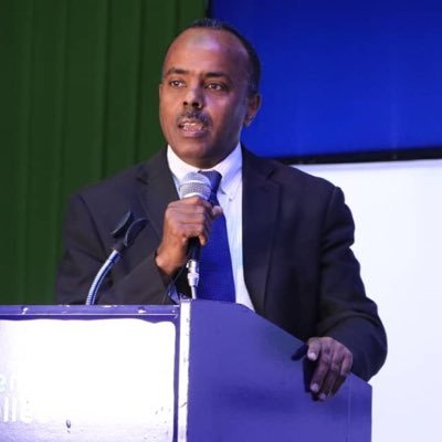 State Minister, Ministry of Foreign Affairs, Member of Somali Federal Parliament, former Chief of Staff of Somali President, former IBMer and lecturer at SIDAM
