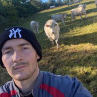 Vincent (@vct_63) 's Twitter Profile