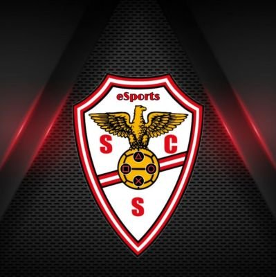 S.C. Salgueiros eSports é um clube de futebol virtual no FIFA , na plataforma PlayStation 4 e 5 e participa nas principais ligas como EFA, LPE e VPL.