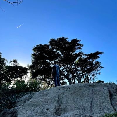 aquidelRui's profile picture. How humble it now appeared, collapsing into the dust of its former magnificence