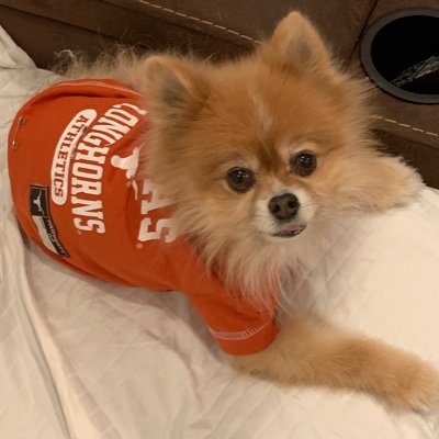 pharablair's profile picture. 