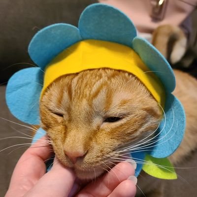 Flerbergerber π§ Profile