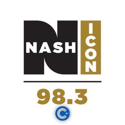 983 Nash Icon
