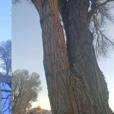 notaplainwalker's profile picture. 