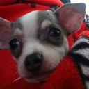 Taylor Bowling - @beamersrus - Twitter