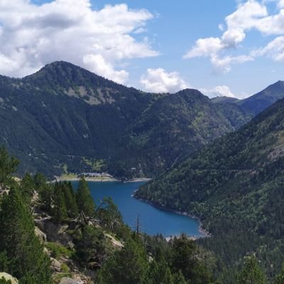 Zimerkeith's profile picture. 