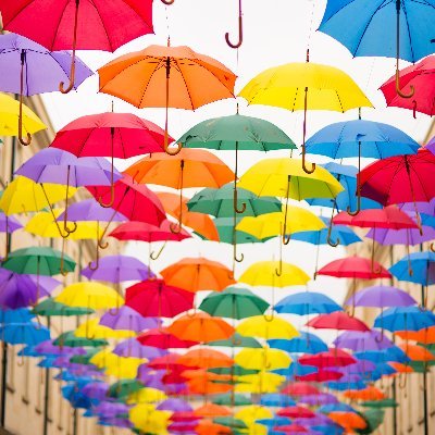 Rachel_Bern44's profile picture. Watching the whole world crumble around me and ready to start picking up the pieces.