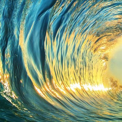 SciDevi's profile picture. 