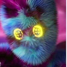 rehanalimmn's profile picture. reddio