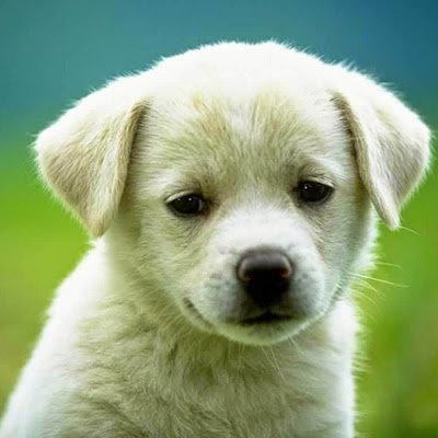 EmilyBraithwai8's profile picture. 