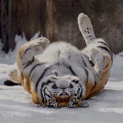 zaaa_i_i's profile picture. gh://^_