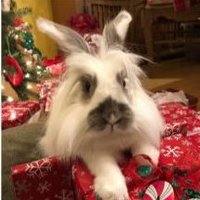Sbleb (@sbleb27) 's Twitter Profile