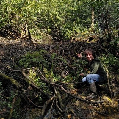 PhD candidate with @KingsCollegeLon and @ZSLScience looking at rewilding in Scotland 🐗🌿🏞 | @imperialcollege & @Selwyn1882 alumni | he/him