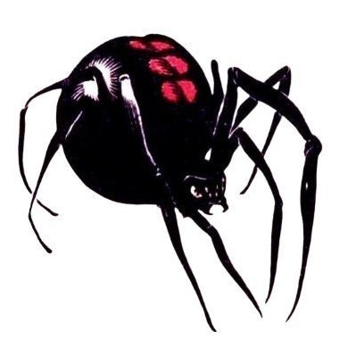 end times elegist : useless eater : upholstered pile of bones and knuckles
🕷️🖤 @samharakaliyuga you're my dream