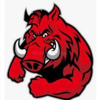 Razorback24 (@razorbackpride1) 's Twitter Profile