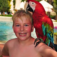 Michael van Geest (@michaelvangeest) 's Twitter Profile
