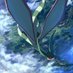 Flygon330 (@flygon3303) Twitter profile photo