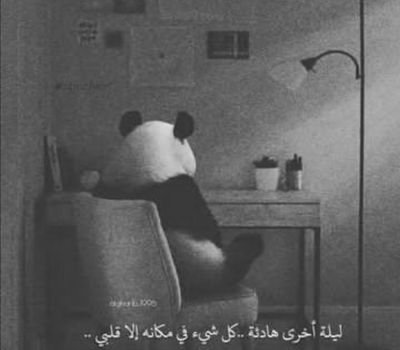 ‏وحيده 🐼❤️