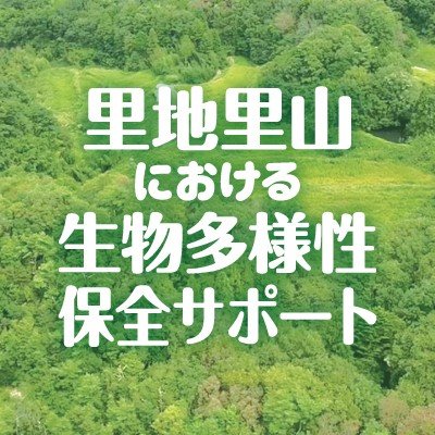 里山における生態系の保全活動を通して、コロナ禍に負けずがんばる学生の皆さんに支援金を支給します😌🍀
①樹木調査📊②棚田環境の整備③バイオ炭・炭焼窯の試作🧤 #神戸市 #里山