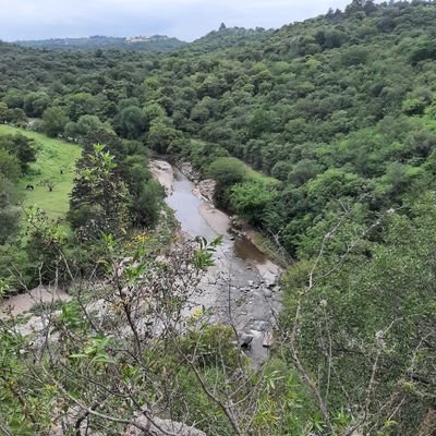 neszan45's profile picture. Saber cada día más!!