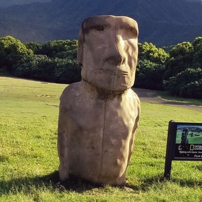 もあいさんのプロフィール画像